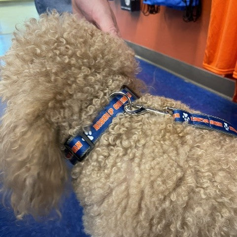 Pet Collar