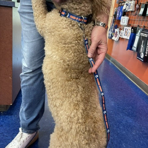 Pet Leash