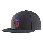 NIKE Pro Bill Baseball Anthracite