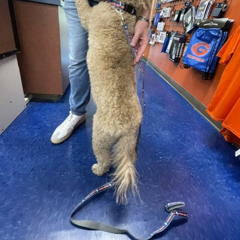 Pet Leash