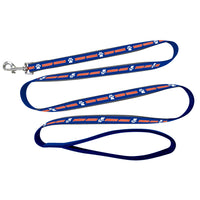 Pet Leash